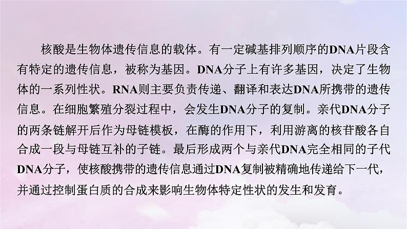 新教材适用2023_2024学年高中化学第4章生物大分子第3节核酸课件新人教版选择性必修3第7页