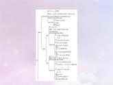 新教材適用2023_2024學(xué)年高中化學(xué)第2章烴章末素能提升課件新人教版選擇性必修3