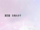 新教材适用2023_2024学年高中化学第4章生物大分子章末素能提升课件新人教版选择性必修3