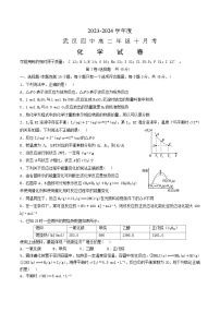 2024武汉四中高二上学期10月月考化学试题含答案