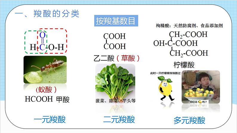 3.4.1《羧酸》（教学课件）人教版高中化学选择性必修3第6页