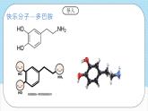 3.4.3《羧酸的衍生物—酰胺》 课件 人教版高中化学选择性必修3