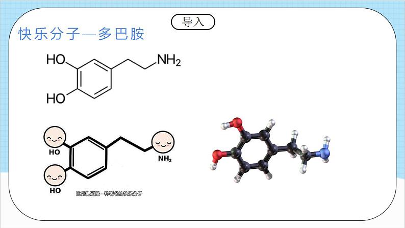 3.4.3《羧酸的衍生物—酰胺》 课件 人教版高中化学选择性必修302