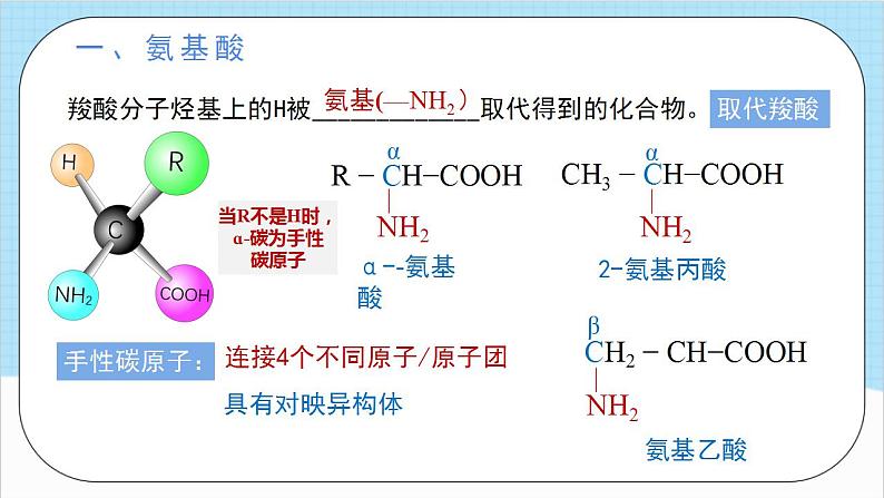 4.2.1《蛋白质》 课件 人教版高中化学选择性必修305