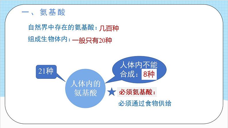 4.2.1《蛋白质》 课件 人教版高中化学选择性必修307