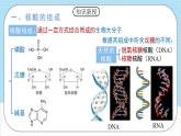 4.3《核酸》 课件 人教版高中化学选择性必修3