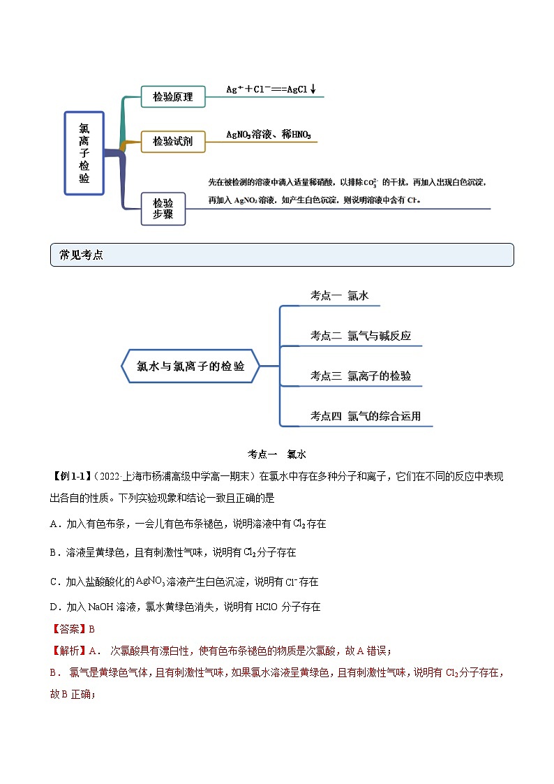 人教版高中化学必修一精品同步讲义2.2.2 氯水与氯离子的检验（精讲）（含解析）第2页