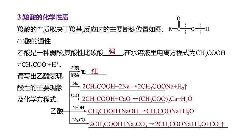 2024届高三化学一轮复习课件：烃的衍生物(二)　羧酸　羧酸衍生物第3页