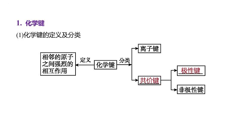 2024届高中化学一轮复习课件：化学键　分子结构与性质04