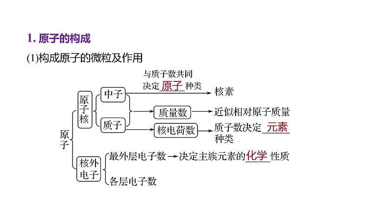 2024届高中化学一轮复习课件：原子结构　原子核外电子排布02