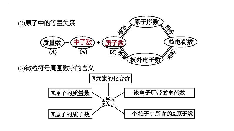 2024届高中化学一轮复习课件：原子结构　原子核外电子排布03