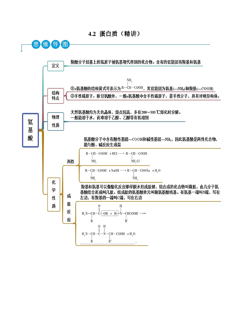 人教版高中化学选择性必修三精品同步讲义4.2 蛋白质（精讲）（含解析）01