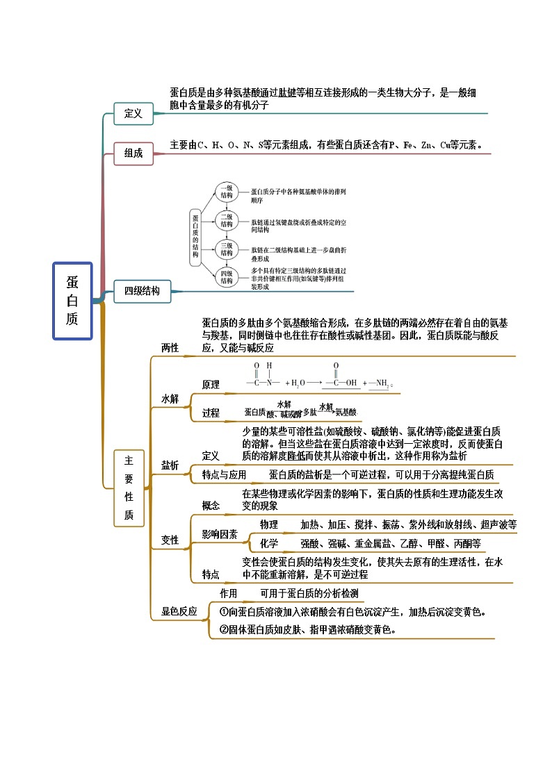 人教版高中化学选择性必修三精品同步讲义4.2 蛋白质（精讲）（含解析）02