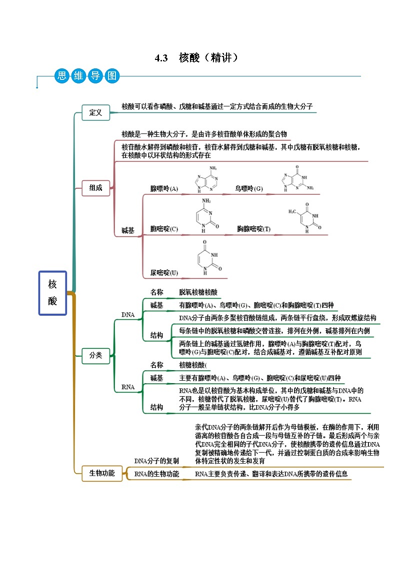 人教版高中化学选择性必修三精品同步讲义4.3 核酸（精讲）（含解析）01