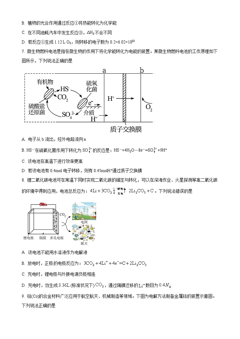 2024枣庄八中高二上学期10月月考试题化学含解析03