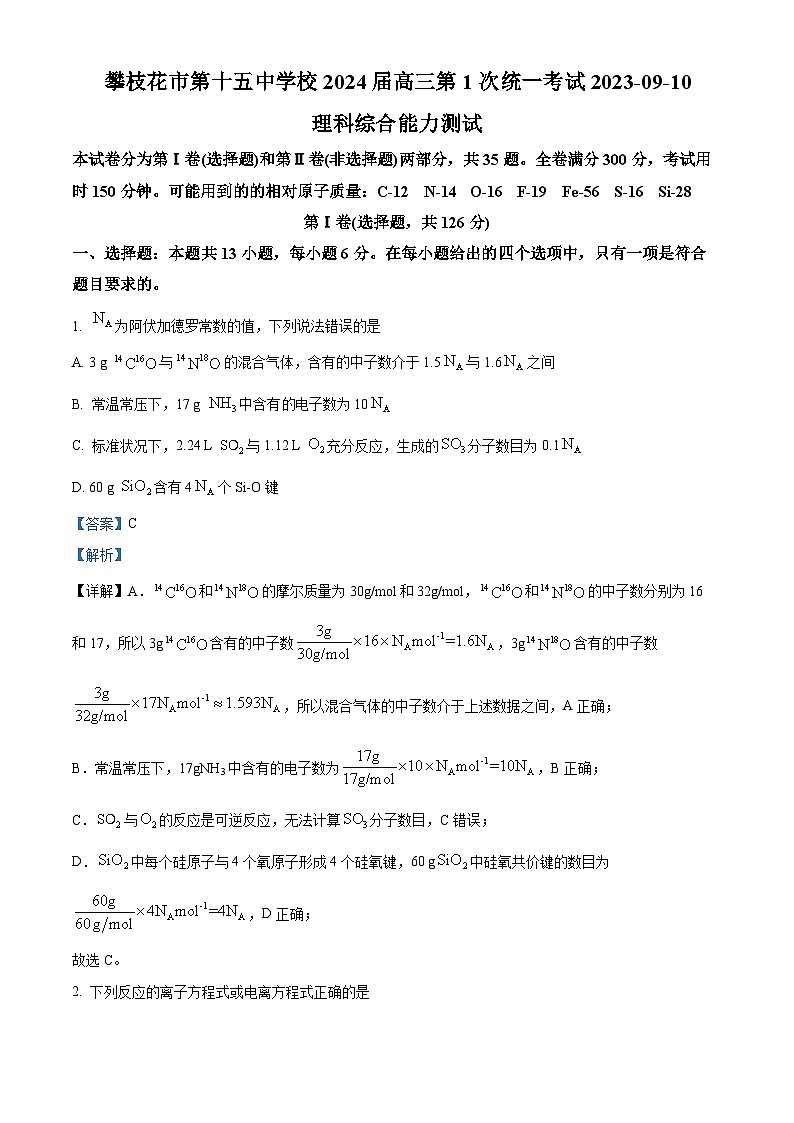 四川省攀枝花市第十五中学校2023-2024学年高三上学期9月第一次统一考试理综化学试题 Word版含解析第1页