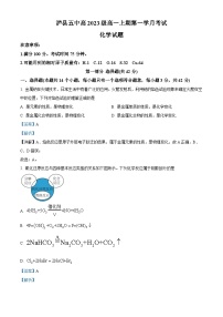 四川省泸县第五中学2023-2024学年高一化学上学期10月月考试题（Word版附解析）