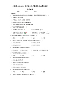 上海市2023-2024学年高二上学期期中考试模拟练习化学试卷（含解析）