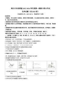 2024重庆市名校联盟高二上学期11月期中考试化学含答案