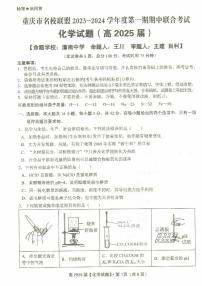 2024重庆市名校联盟高二上学期11月期中考试化学PDF版含答案