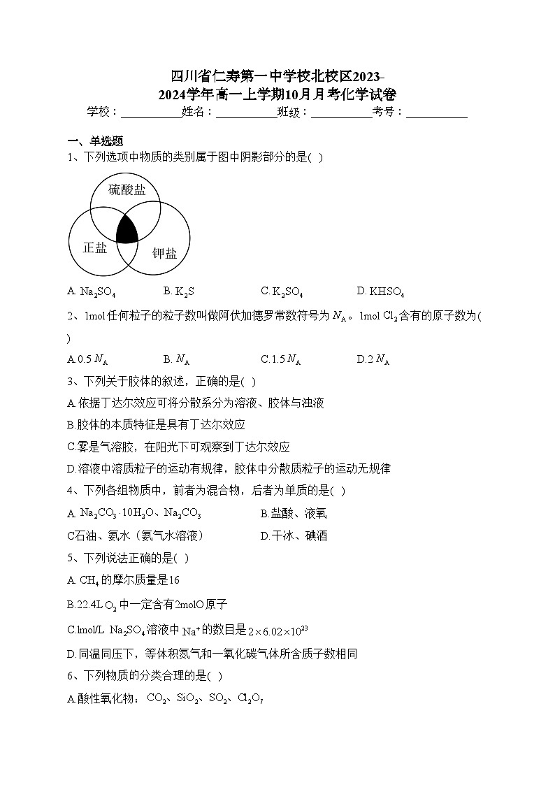四川省仁寿第一中学校北校区2023-2024学年高一上学期10月月考化学试卷(含答案)第1页