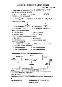 上海市新中高级中学2023-2024学年高二上学期期中考试化学试题