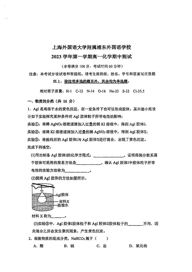 上海外国语大学附属浦东外国语学校2023-2024学年高一上学期期中测试化学试题01