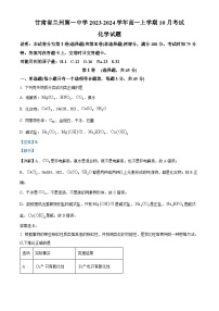 甘肃省兰州第一中学2023-2024学年高一上学期10月月考化学试题（解析版）