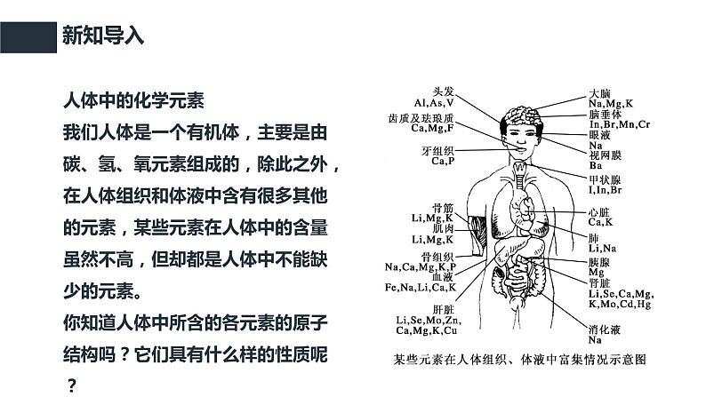 4.1.3 原子结构与元素的性质（教学课件）—2023-2024学年高中化学人教版-2019·高一上学期03