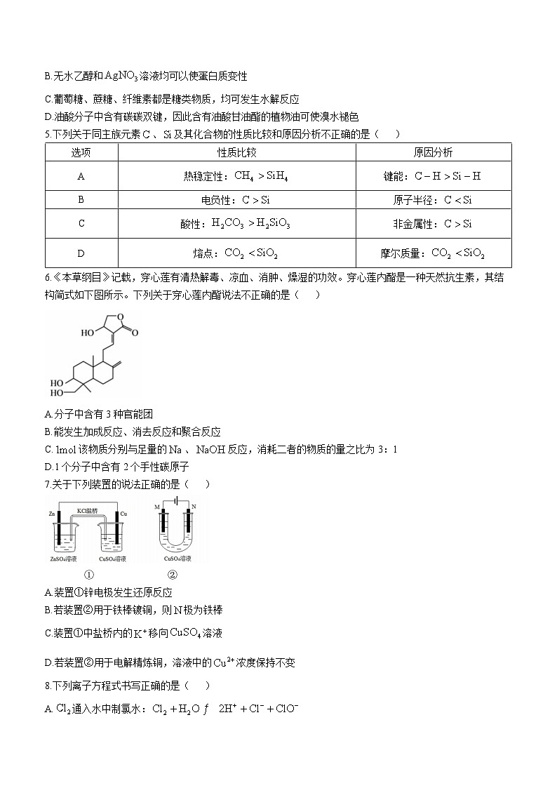 2024北京市第一六一中学高三上学期10月月考化学试题含答案第2页