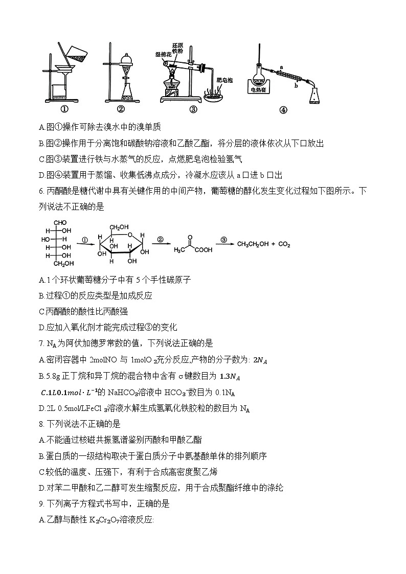 2024杭州高三上学期11月期中考试（一模）化学无答案02