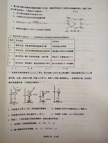 广东省汕头市潮阳一中明光学校2023-2024学年高三上学期11月期中考试化学试题02