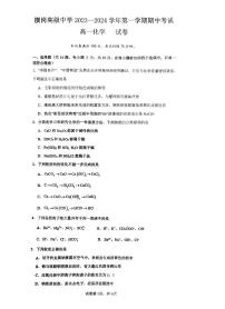 广东省深圳市横岗高级中学2023-2024学年高一上学期11月期中化学试题