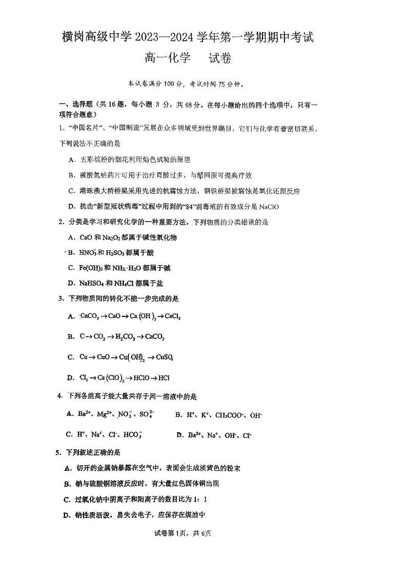 广东省深圳市横岗高级中学2023-2024学年高一上学期11月期中化学试题01