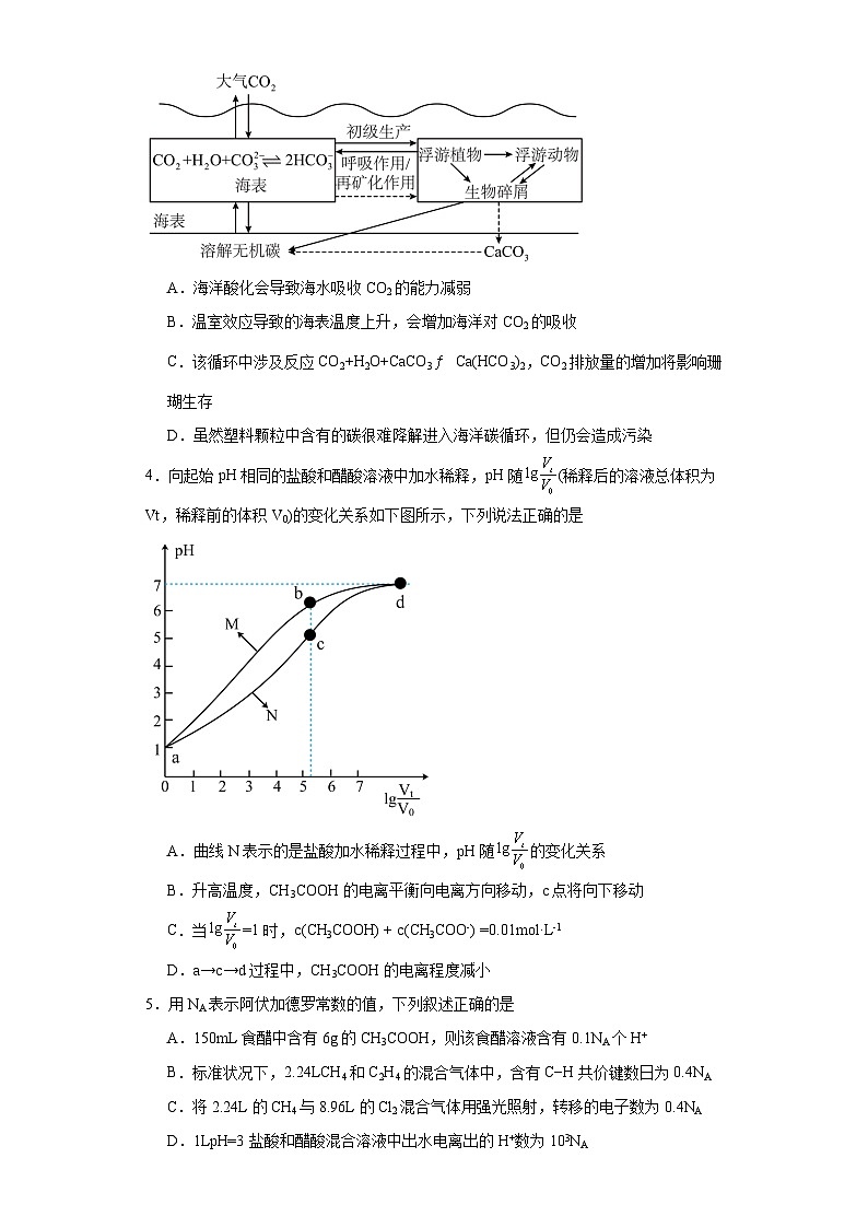 3.1.2弱电解质的电离平衡分层练习-2023-2024学年高二上学期人教版（2019）化学选择性必修1第2页
