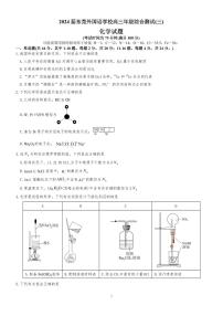 广东省东莞市东莞外国语学校2023-2024学年高三上学期11月综合测试(三)化学试题（PDF版含答案）