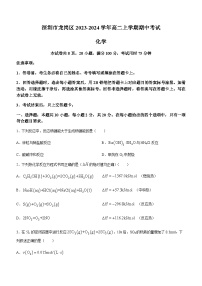 广东省深圳市龙岗区2023-2024学年高二上学期期中考试化学试题（含答案）