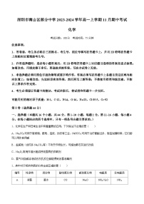 广东省深圳市南山区部分中学2023-2024学年高一上学期11月期中考试化学试题（含答案）