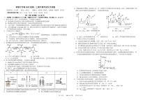 2024成都树德中学高二上学期期中化学试题扫描版含答案