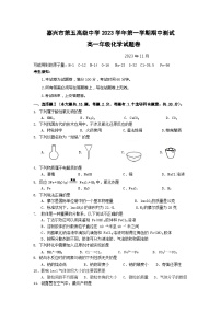 浙江省嘉兴市第五高级中学2023-2024学年高一上学期期中测试化学试题（含答案）