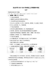 陕西省西安市阎良区关山中学2023-2024学年高三上学期期中考试化学试题（含答案）