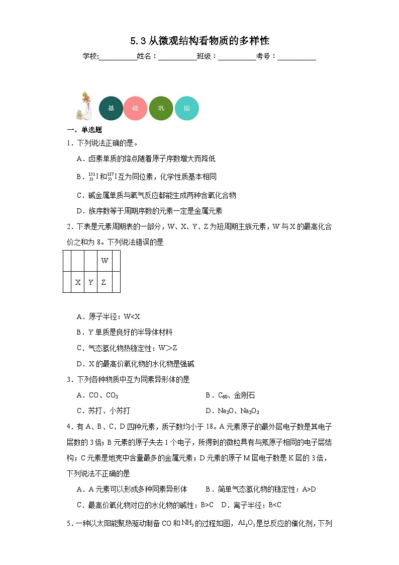 5.3从微观结构看物质的多样性分层练习-2023-2024学年苏教版（2019）高中化学必修第一册01