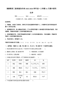 湖南省衡阳市湖湘教育三新探索协作体2023-2024学年高一上学期11月期中联考化学试题（含答案）