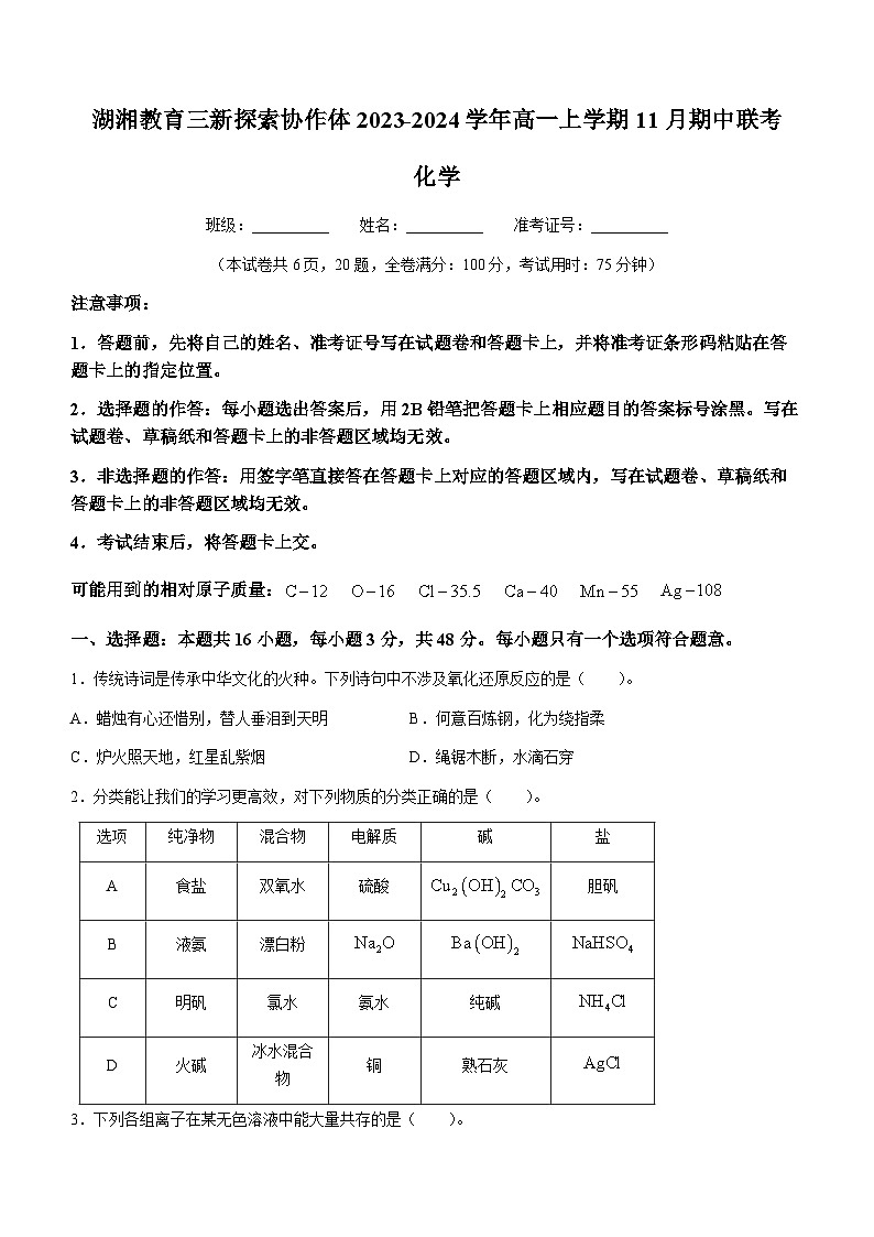 湖南省衡阳市湖湘教育三新探索协作体2023-2024学年高一上学期11月期中联考化学试题（含答案）01