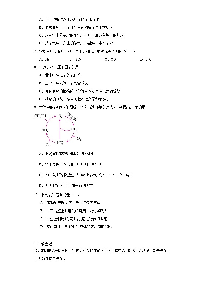 7.1.2自然固氮分层练习-2023-2024学年苏教版（2019）高中化学必修第二册第2页