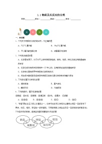 高中化学苏教版 (2019)必修 第一册第一单元 物质及其反应的分类精练