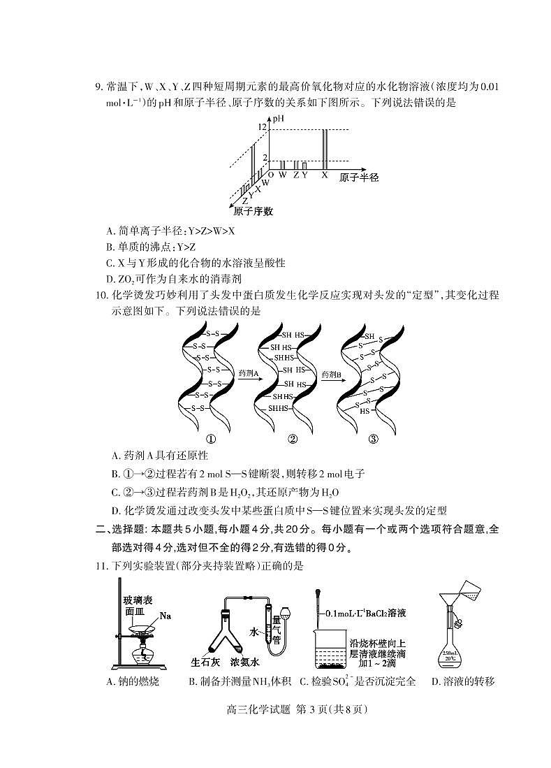 山东省泰安市2023-2024学年高三上学期期中考试化学试题03