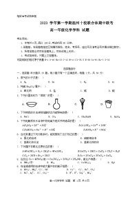 浙江省温州市瑞安十校联考2023-2024学年高一上学期期中化学试题