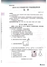 2024届贵州省贵阳市高三上学期模拟预测化学试题