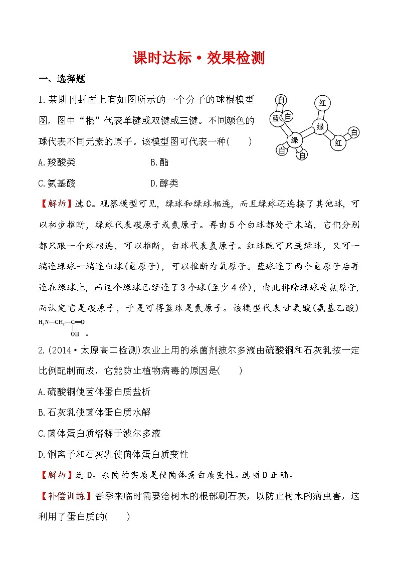 高二化学1.3生命的基础--蛋白质课件及练习题含答案详解第1页